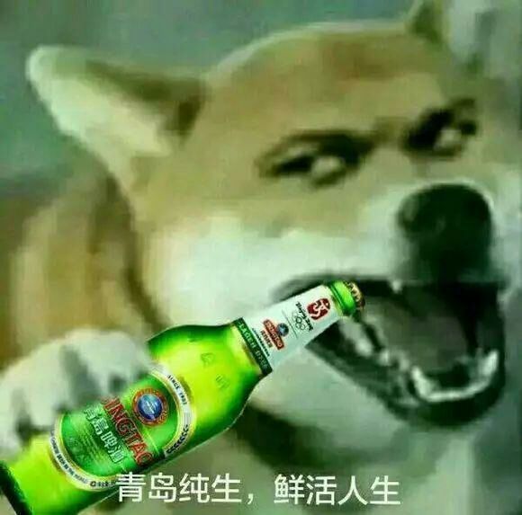 表情包 柴犬 神图 