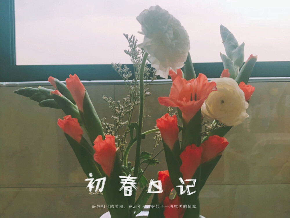 2018.3.15终于开花