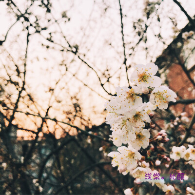 2018.03.13
青城山里暖风醉，
年年桃花如旧日。
独酌自问何时见，
故人无信未归期。