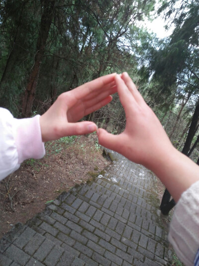 猫柚的爪子和我的爪子