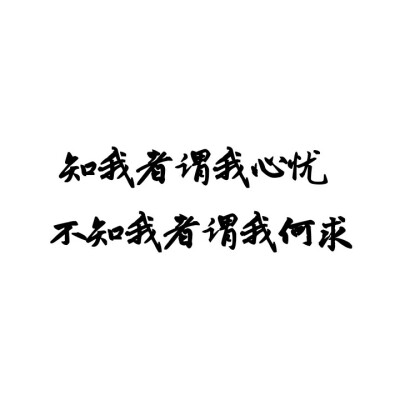 知我者谓我心忧
不知我者谓我何求