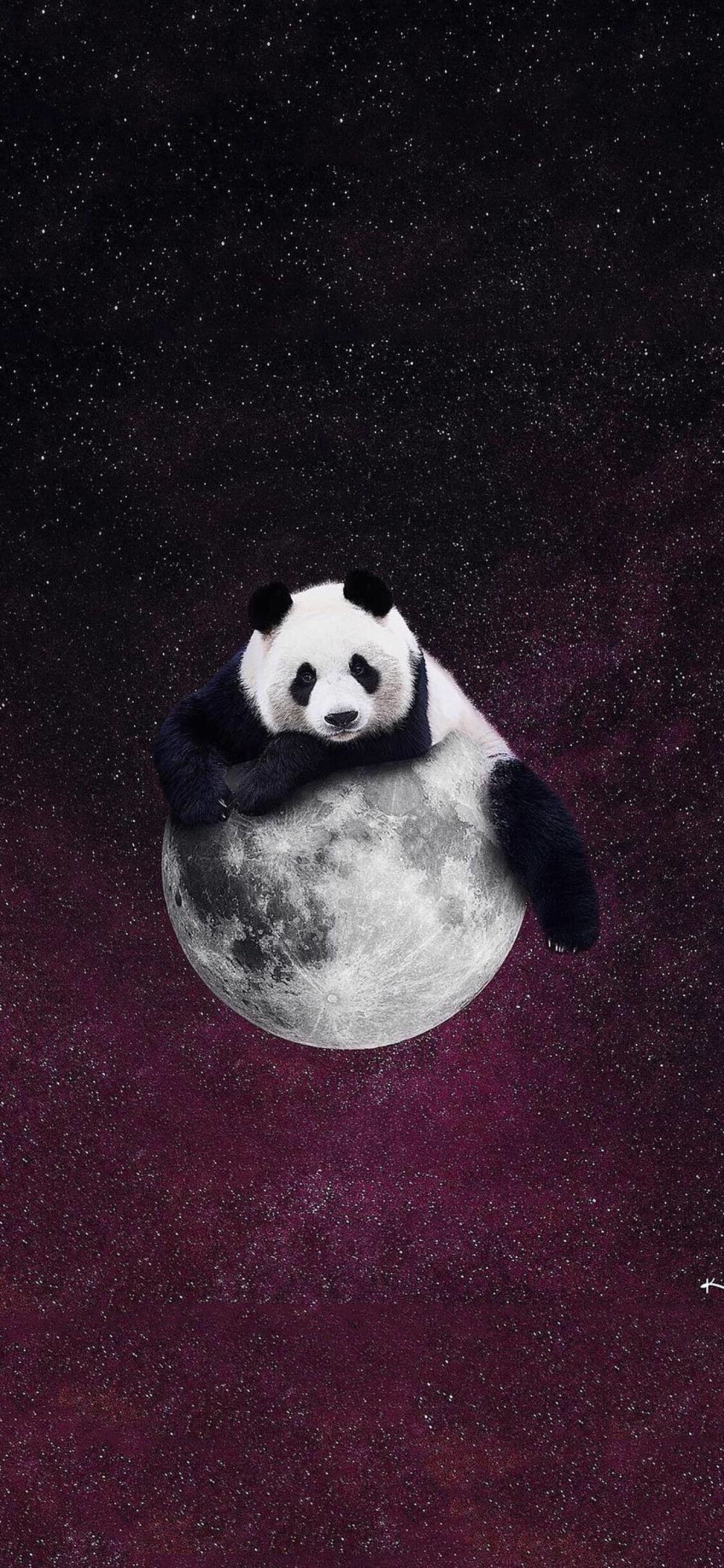 iphonex熊猫壁纸
