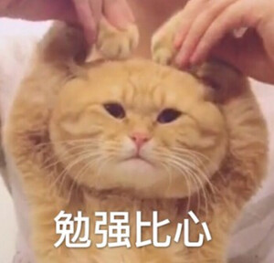 背景图