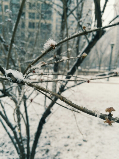 下雪啦