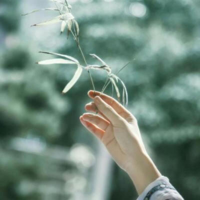 唯美古风头像
古装美人纤纤玉手系列
笔墨/团扇/青竹/细雨/花卉