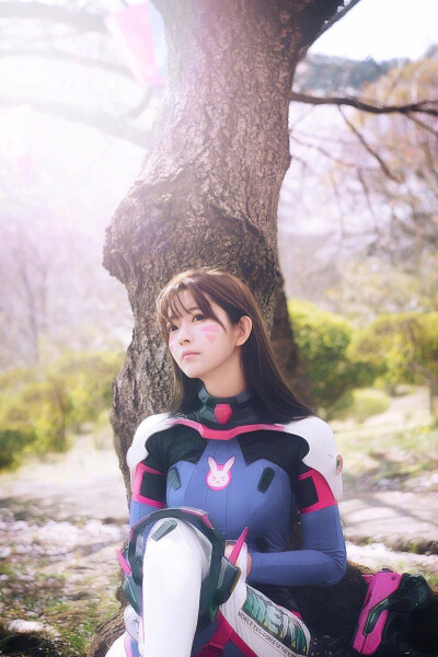 D.va