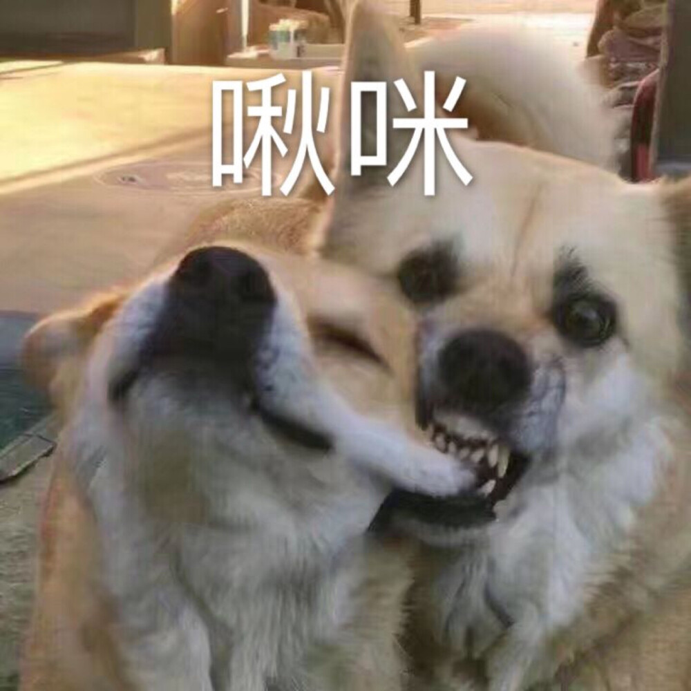 情头