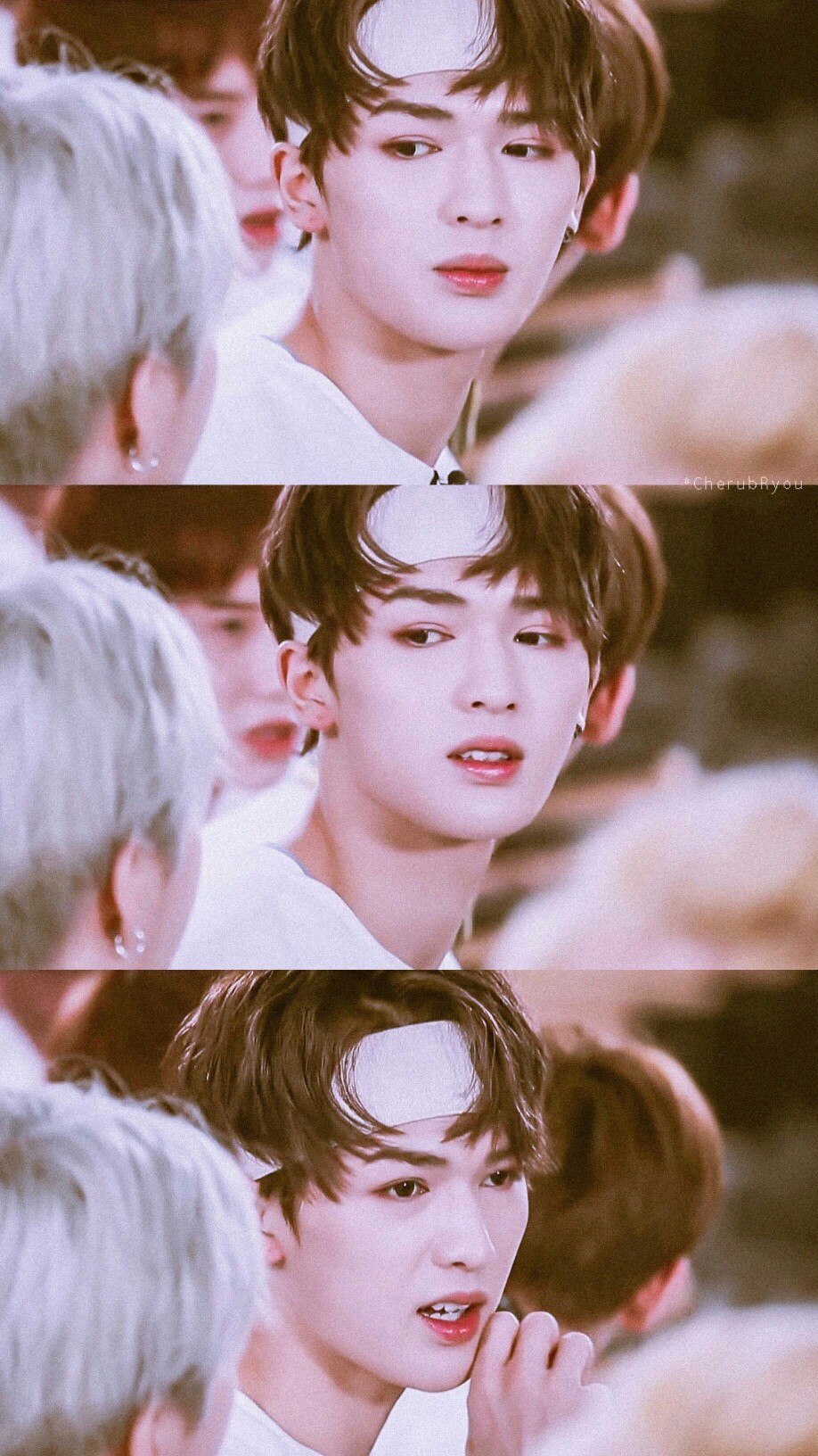 朱正廷❤
得之我幸，失之我命
【图源见水印 侵删】