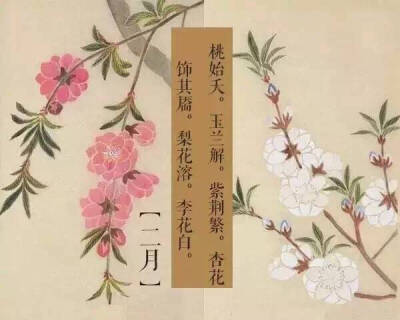 工笔画