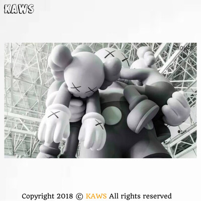 Pidan｜KAWS