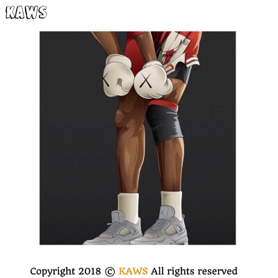 Pidan｜KAWS