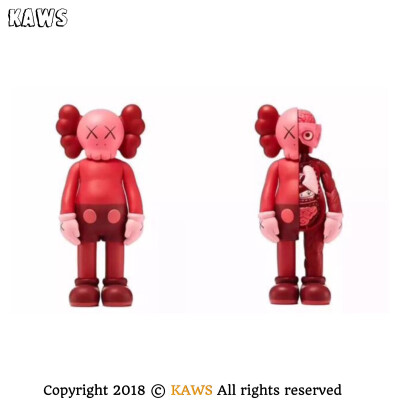 Pidan｜KAWS