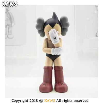 Pidan｜KAWS