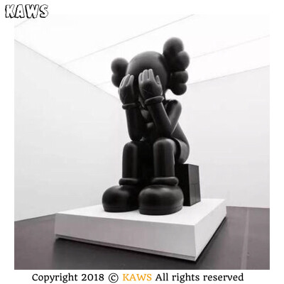 Pidan｜KAWS