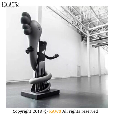 Pidan｜KAWS