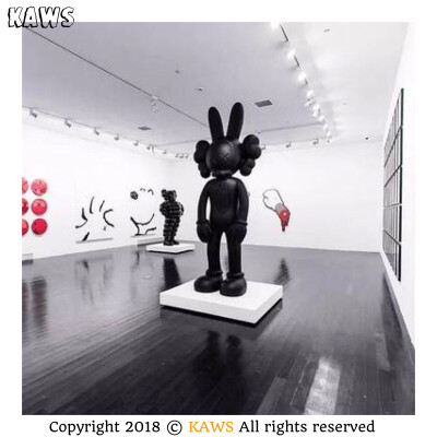 Pidan｜KAWS