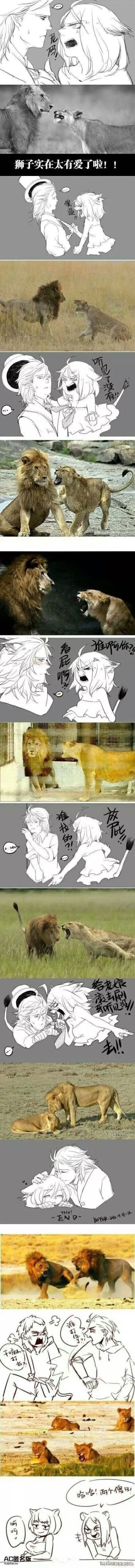 狮子️