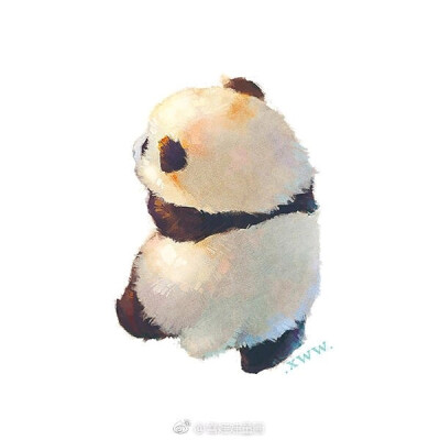 圆滚滚熊猫 手绘 萌 熊猫