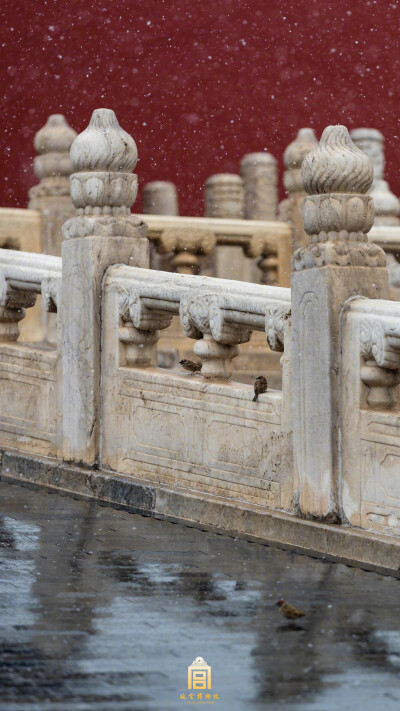 紫禁城【戊戌•春雪•生灵】“晚烟云半杂，春雪雨相和。巷湿人行少，空寒雀叫多” 照片取自@故宫博物院
