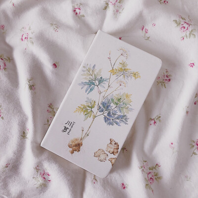 小笔记本～这本内页有格子，还是更喜欢空白页啊能自由发挥