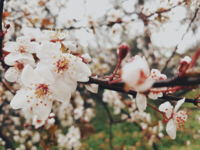 雨花台