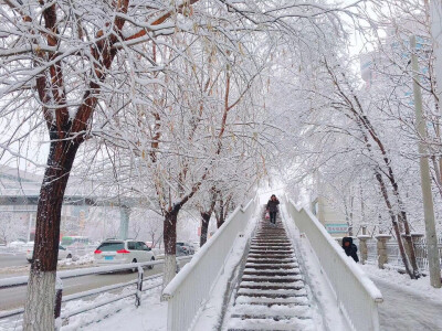 雪景