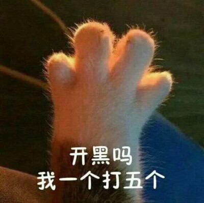 表情