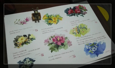 2018年花花草草