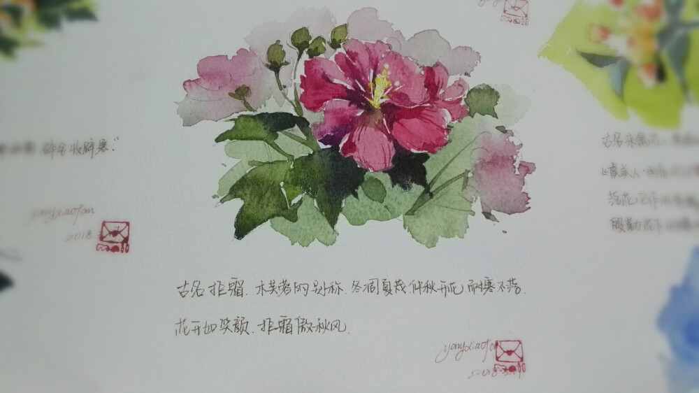 2018年花花草草