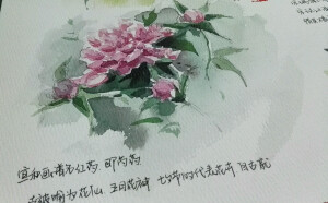 2018花花草草