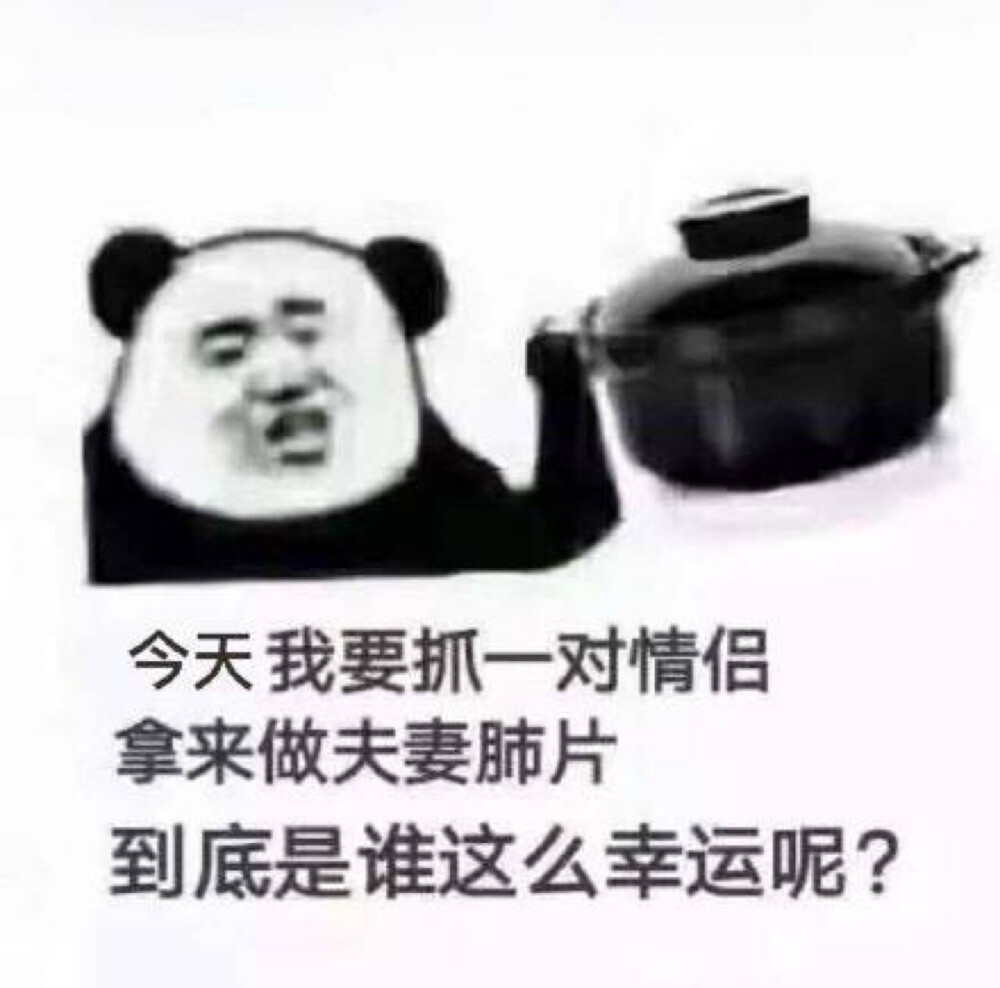 哈哈哈哈