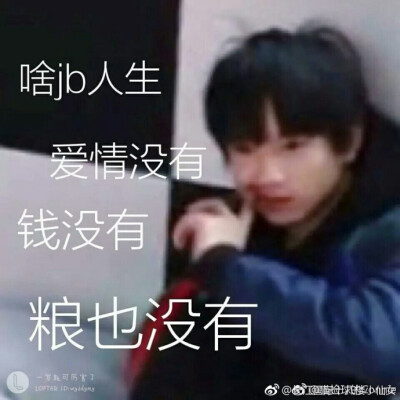 tf家族