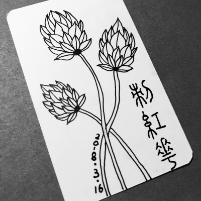 刺红花