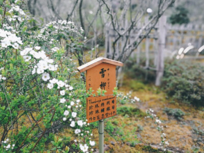 京都印象