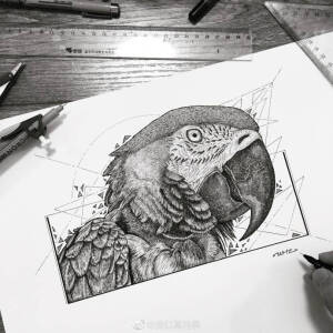黑白画