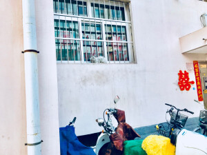 修图是一件脖子疼的事