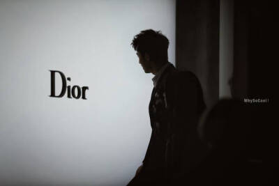 20180321DIOR艺术展