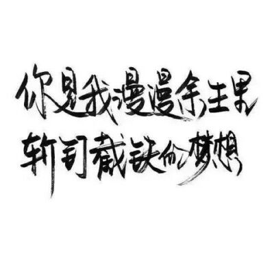 漂亮的字