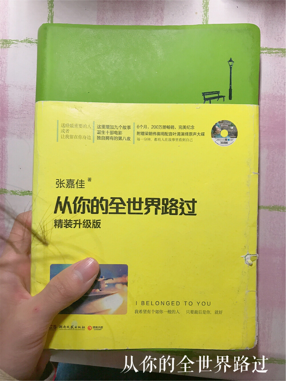  这本书超级文艺，作者特别逗，这本真的是很著名了，拍成了许多电影所以想看看。没让我失望，每一篇都是一个故事，每个人在这里都能找到自己的身影，看完这个我觉得要谢谢还陪伴在你身边的每个人！
我希望有个如你一般的人。 只要最后是你，就好