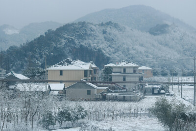 家 冬 小森林似的