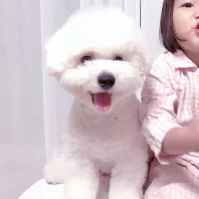 情侣头像
男朋友不是人系列