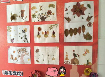 树叶主题画，学校展览墙