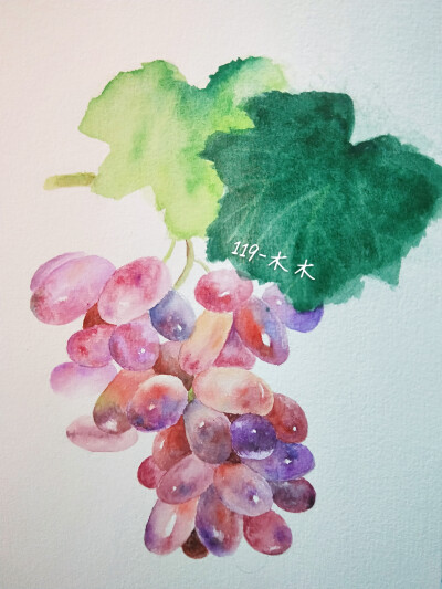 水彩 葡萄 叶子画毁了(ಥ_ಥ)