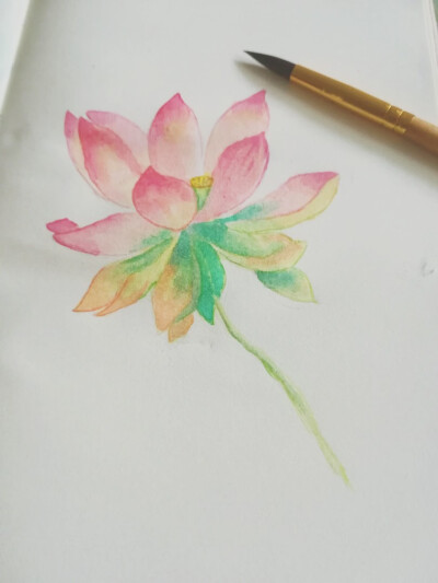 水彩 植物