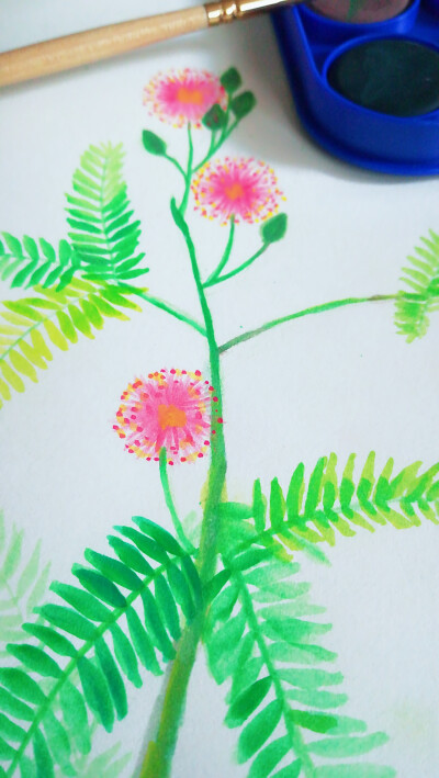 水彩 植物