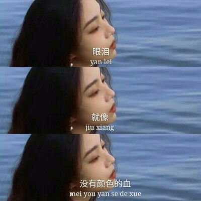 壁纸