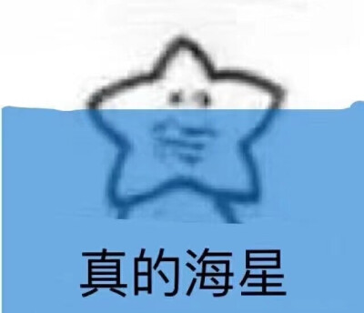 最近很火的海星表情包，我觉得OK