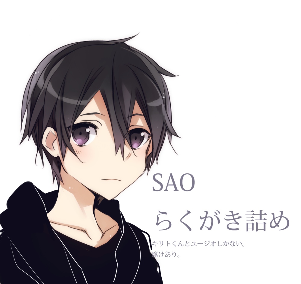 刀剑神域 序列之争 sao 桐人 kirito 尤吉欧 黑衣剑士