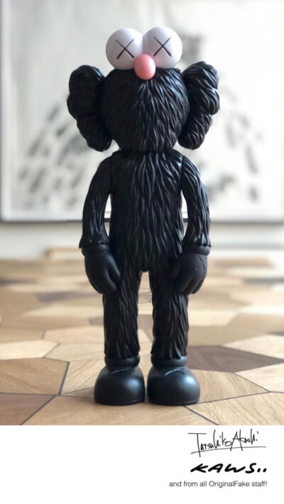 Pidan｜KAWS