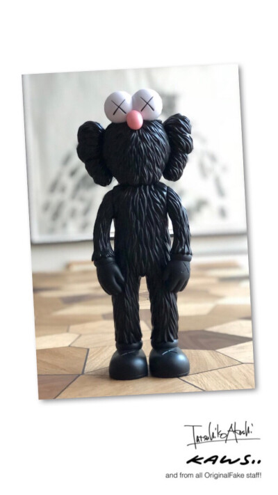 Pidan｜KAWS